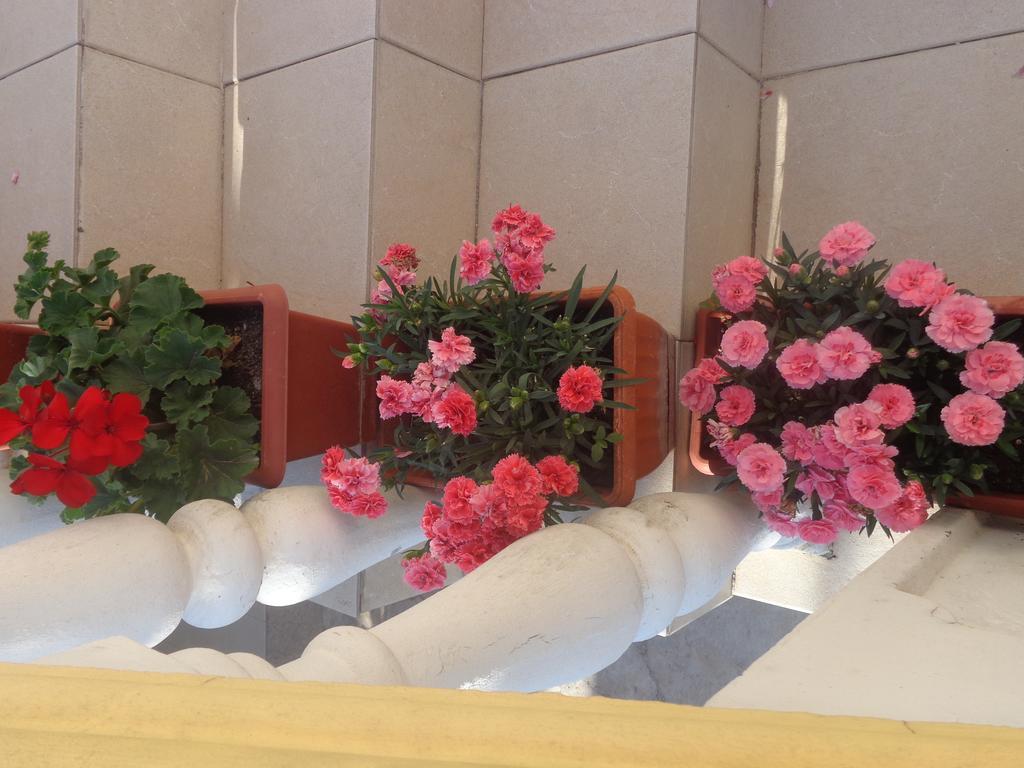 Guest House Ivana Tivat Exterior photo