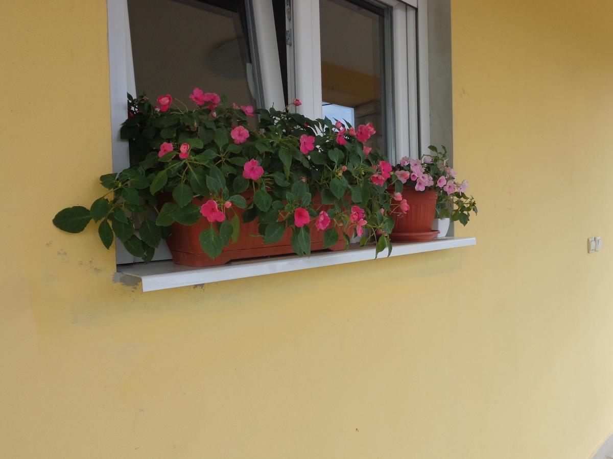 Guest House Ivana Tivat Exterior photo